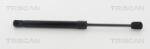 TRISCAN Amortizor Capota 871011133 Bmw 5/6/6 Gran (871011133)