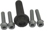 CORTECO Set Surub, Disc Curea-Arbore Cotit 0080001259 Audi A3 Seat Alhambra/Leon Vw Bora (0080001259)