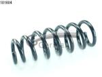 CS Germany Arc Spiral Punte Fata 14.101. 604 Bmw X5