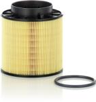 MANN-FILTER Filtru Aer C16114/2X Audi A4 B8/A5/Q5 (C16114/2X)