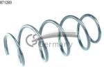 CS Germany Arc Spiral Punte Fata 14.871. 283 Renault Megane Ii