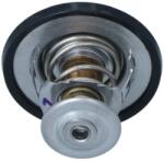 NRF Termostat, Lichid Racire 725180 Nissan Murano Iii/Pathfinder Iv/Primera/Teana Ii (725180)