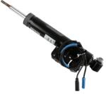 SACHS Amortizor 319115 Bmw X5/X6 (319115)