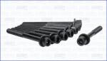 AJUSA Set Surub, Chiulasa 81047800 Infiniti Ex/Fx/G/I30/I35/Jx/M/M35/Qx4/Qx50 I/Qx60