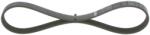 Bosch Curea Transmisie Cu Caneluri 1987946149 Mazda 3/5
