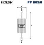 FILTRON Filtru Combustibil Pp865/6 Ford Ecosport (PP865/6)