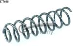 CS Germany Arc Spiral Puntea Spate 14.877. 010 Renault Megane Ii