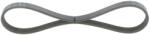 Bosch Curea Transmisie Cu Caneluri 1987946123 Alfa Romeo 159 Chevrolet Aveo/Cruze/Trax (1987946123)