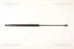 TRISCAN Amortizor Portbagaj 871025245 Renault Laguna Iii (871025245)