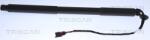 TRISCAN Amortizor Portbagaj 871027301 Volvo Xc60 I