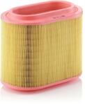 MANN-FILTER Filtru Aer C24196 Hyundai H-1/H-1 / Starex/H-1 Travel/Tucson (C24196)