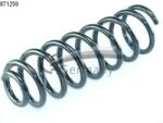 CS Germany Arc Spiral Puntea Spate 14.871. 259 Renault Scénic Ii