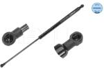 MEYLE Amortizor Portbagaj 16-409100006 Renault Laguna Ii
