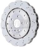 SHW Performance Disc Frana Puntea Spate Arx48211Wavedisc Audi R8 (ARX48211WaveDisc)