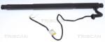 TRISCAN Amortizor Portbagaj Dreapta 871011302 Bmw X6 (871011302)