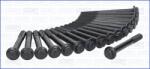 AJUSA Set Surub, Chiulasa 81031200 Nissan Cabstar/Cabstar E/Navara/Pathfinder Ii/Trade