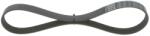 Bosch Curea Transmisie Cu Caneluri 1987946144 Audi A1/A3/A4 B9/Q3/Tt Seat Arona/Ateca