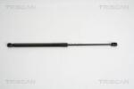 TRISCAN Amortizor Portbagaj 871029279 Audi A4 B8 (871029279)
