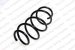 LESJÖFORS Arc Spiral Punte Fata 4015650 Citroën C2