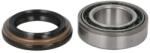 BTA Set Rulment Roata Puntea Spate H2Y013Bta Jeep Grand Cherokee Ii Renault Clio Ii