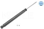MEYLE Amortizor Puntea Spate 7267250030 Ford C-Max/C-Max Ii/Focus C-Max/Focus Ii (7267250030)