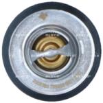 NRF Termostat, Lichid Racire 725083 Hyundai Grace/H-1/H-1 / Starex/H-1 Travel/H100 (725083)