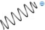 MEYLE Arc Spiral Punte Fata 40-146390013 Citroën C3 I