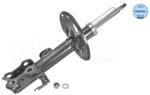 MEYLE Amortizor Axa Fata Stanga 30-266230014 Toyota Rav 4 Iii/Rav 4 Iv (30-266230014)