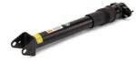 Arnott Amortizor Puntea Spate Sk-2868 Mercedes-Benz Gl-Class