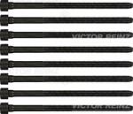 VICTOR REINZ Set Surub, Chiulasa 14-32198-01 Audi A4 B7/A4 B8/A5/A6 C6/A6 C7/A7/A8 D3/A8 D4 (14-32198-01)