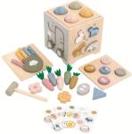 2Kids Toys Многофункционален моторен куб (2D98167)