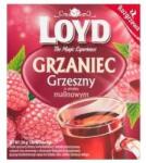 LOYD Expressz Tea Málna Bűnös 10 x 3G (5900396014818)