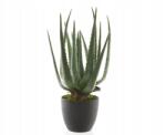 Kaemingk Aloe Növény Virágcserebpen 40 cm, Kaeming (454/802104)
