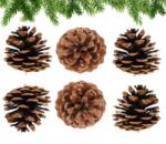 Top Gift Toboz Természetes Dekoráció Karácsonyra Karácsonyi Koszorú Az Asztalra (CV11892-3)