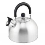 Floria Ceainic Inox cu Fluier, Exterior Polishat, Capacitate 3 l (ZLN-ZLN1276)