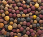 MIVARDI Rapid boilies - Multi Mix 2, 5kg (M-RABOMIX25)