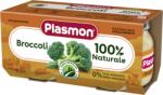 Plasmon Пюре от броколи 6+м 2х80г - bubu