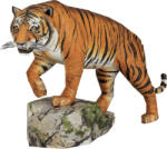 Metal Earth 3D puzzle Tigru bengalez