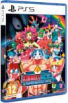 Mameshiba Games KinnikuNeko Super Muscle Cat (PS5)