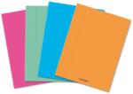 Aurora Caiet A4 36 file 80g/mp, coperta plastic, Aurora (36PPT)