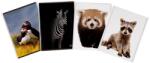 Elisa Caiet A5 Premium 48 file, hartie 80g/mp, coperta 300g/mp, Elisa Animals, FSC (EP-694220)