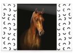 KOH-I-NOOR Mapa birou 40x60cm Horse, Koh-I-Noor (KPPZ12061)
