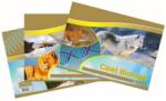 Silence Gold Caiet biologie 24 file, hartie 80g/mp, Silence Gold (SG005985)
