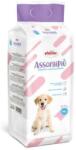 AssorbiPiu Covorase absorbante pentru caini 60x60 cm, 40 buc