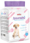 AssorbiPiu Covorase absorbante pentru caini, 60x90 cm, 30 buc