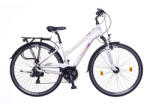 Neuzer Firenze 100 Lady (2020) Kerékpár
