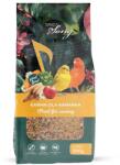 Sing & Song SING& SONG hrană pentru canari 500 g