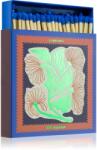Paddywax Jumbo Boxed Floral gyufa