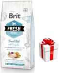 Brit Brit Fresh Fish & Pumpkin Adult Large Muscles & Joints 12kg + MEGLEPETÉS A KUTYÁDNAK