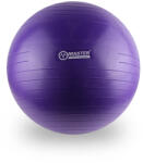 MASTER SUPER BALL GIMNASZTIKAI LABDA, ÁTMÉRŐ 55 CM - lila 55 CM lila
